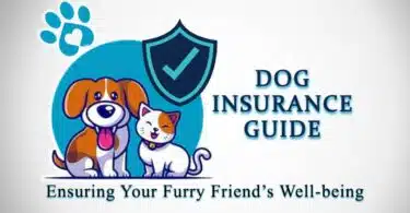 Dog Insurance Policy Info Guide